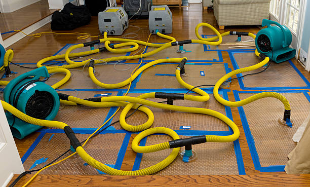 Professional Crawl Space Water Removal technician working in Apple Valley, MN